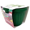 Buzzy Seeds 5.5" Plastic Grow Pot Philodendron - 4 of 4