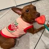 Parisian Pet 'One in a Melon' Dog Shirt – Fun Summer Pet T-Shirt for Dogs & Cats, Pink - 3 of 4