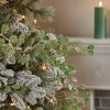 Frosted Silver Dollar Eucalyptus Spray (Set of 12) - 2 of 3