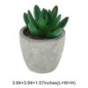 Unique Bargains Artificial Plants Large Mini Pulp with Cactus Finger Plastic 2.36"x2.36"x3.35" 1 Pc - 3 of 4
