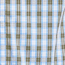 olive drab/blue plaid
