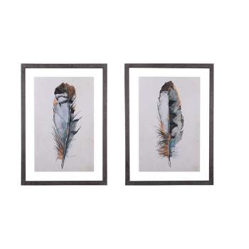 20" x 28.7" (Set of 2) Designs Feathers Framed Wall Art - Storied Home