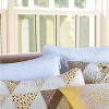 C&F Home 20" x 26" Norah Std Sham - Machine Washable - 3 of 3