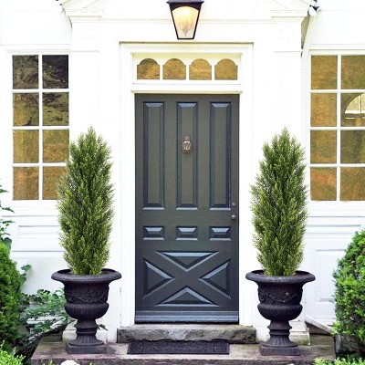 NicBex Artificial Tree 2pcs Faux Decorative Plants 
0.73FT Artificial Cedar Cypress Plants Boxwood Pine Greenery Trees for Living Room, Foyer