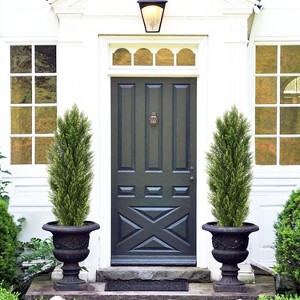 NicBex Artificial Tree 2pcs Faux Decorative Plants 
0.73FT Artificial Cedar Cypress Plants Boxwood Pine Greenery Trees for Living Room, Foyer - 1 of 4