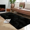 Modern Fluffy Area Rugs for Bedroom Living Room, Plush Soft Thick Fuzzy Shaggy Carpet for Kids Nursery Dorm - 2 of 4