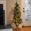 National Tree Company 5 ft Pre-Lit Artificial Entrance Christmas Tree, Green, Crestwood Spruce, White Lights, Frosted Branches, Pot Base - 2 of 4