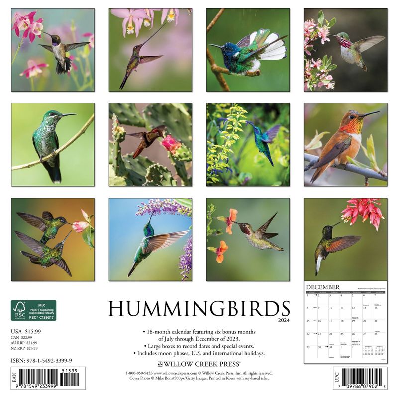 Willow Creek Press 2024 Wall Calendar 12&#34;x12&#34; Hummingbirds, 2 of 4