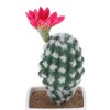 Unique Bargains Artificial Plants Flowering Cactus in Pot Plastic 3.03"x3.03"x7.87" 1 Pcs - 4 of 4