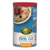 Nature's Path Organic Quick Cook Steel Cut Oatmeal 6pk/144oz - 2 of 4