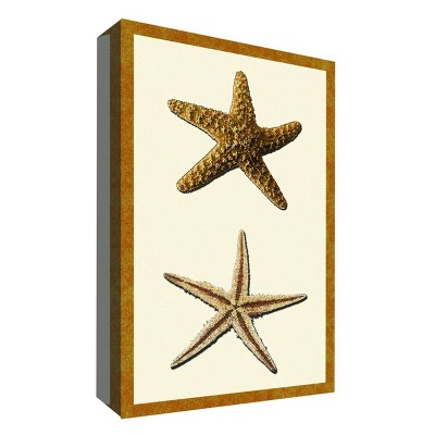 11" x 14" Starfish Decorative Wall Art - PTM Images