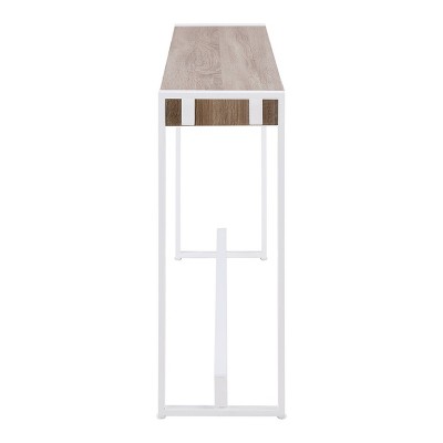 Mocha Gray & Fresh White Industrial Console Table with Storage