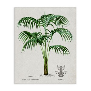 Stupell Industries Vintage Palm Illustration Canvas Art - 1 of 4