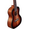 Alvarez Artsit Concert Ukulele Shadowburst - image 3 of 3