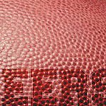 tampa bay buccaneers