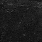 tampa bay buccaneers