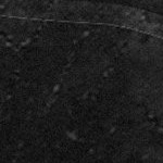 tampa bay buccaneers