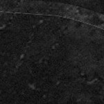 tampa bay buccaneers