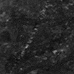 tampa bay buccaneers