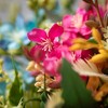 15.5"H Sullivans Spring Bright Flowering Bushes Set of 3, Multicolor - 2 of 3