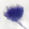 Alilang Decorative Dried Ming Fern Stems for Elegant Home Decoration and Creative Floral Arrangements, 19.5 Inches - 2 of 3