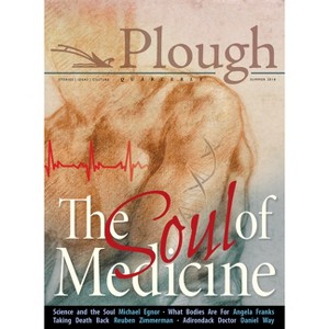 Plough Quarterly No. 17- The Soul of Medicine - (Paperback) - 1 of 1