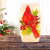 Stony Creek 8.0 Inch Birds Of Winter Pre-Lit Med Vase Cardinal Berries Pinecones Novelty Sculpture Lights - 2 of 4