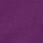 plum purple