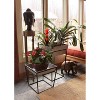 Indoor/Outdoor Arne Steel Plant Stand with Galvanized Tray Black Powder Coated Finish - Achla Designs: Freestanding Square Holder - 2 of 4
