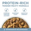 Purina ONE +Plus Joint Health Natural Chicken Flavor Dry Dog Food - 16.5lbs - 3 of 4