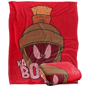Looney Tunes Wile E Coyote Santa Hat Silky Touch Super Soft Throw Blanket 36 x 58