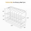Hair Color Organizer Rack, 2-Tier Wall-Mounted Metal Salon Storage Display for Hair Dye Tubes, Silver - 2 of 4