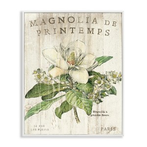 Stupell Industries French Magnolias In Spring Framed Giclee Art - 1 of 4