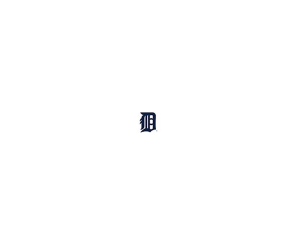 MLB Detroit Tigers 500pc Find Joe Journeyman Puzzle