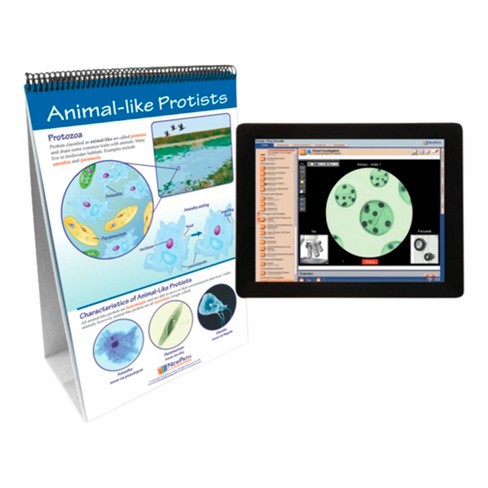 NewPath Learning Protists: Pond Microlife Flip Chart and Online Multimedia Lesson - image 1 of 1