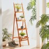 Grenton 4 Tier Shelf - Indoor/Outdoor - PAT7063 - Natural - Safavieh - 2 of 4
