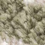 off white, lime green