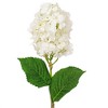 Vickerman 34" Artificial Cone Hydrangea Spray, 2 per bag - 2 of 4