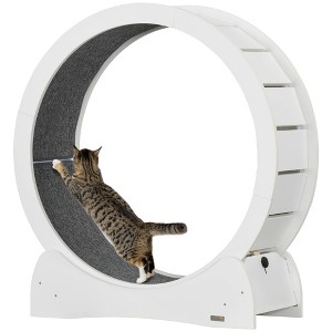 PawHut Cat Running Wheel, Cat Tree with Carpet Runway Cat Exercise Wheel with Brake Cat Tower Pet Furniture for Kittens - 1 of 4