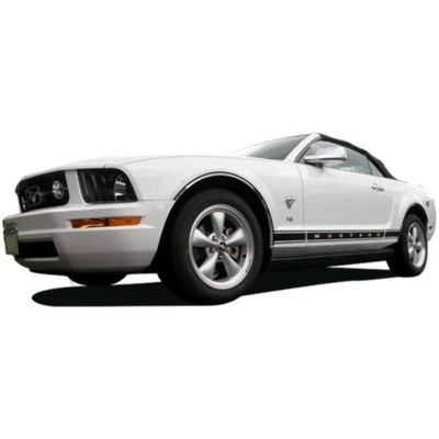 QAA is Compatible with 2005-2007 Ford Mustang 2 Piece Stainless Roof Insert Trim RI45351