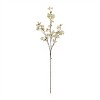 Blossom Floral Branch (Set of 4) - 3 of 3