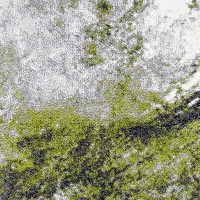 grey/green