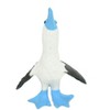 Collectible Wildlife Gifts | Blue-Footed Booby, Realistic, Hand Painted, Plastic Bird Figure, Diorama, Model, Toy,  Gift,    2 Inches. F1521 B150 - 4 of 4