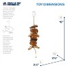 Prevue Pet Products 62803 Naturals Coco Rope Mini Bird Toy, 8 x 2.5 - 3 of 3