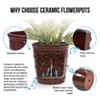 KTMBDW Ceramic Plant Pots Set of 3, Planters with Drainage Holes, Flower Pot Outdoor Indoor - 3 of 4