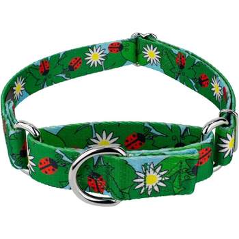 Country Brook Petz  Ladybug Picnic Martingale Dog Collar
