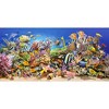 4000 Piece Jigsaw Puzzle, Underwater life, Sealife, Ocean, Adult Puzzles, Castorland C-400089-2 - 2 of 4