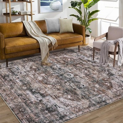 Washable Rug Large Area Rug for Living Room Soft Non-Slip Backing Stain Resistant & Low Pile Vintage Floor Carpet