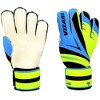 Vizari Avio F.P. Soccer Goalkeeper Goalie Gloves - 2 of 4