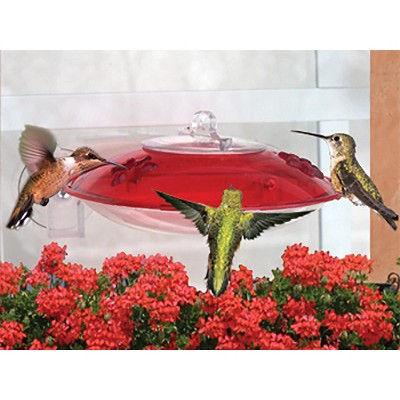 Red Window Mounted Plastic Hummingbird Feeder with 2 Ports